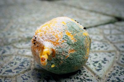 Close-up of a fruit on floor