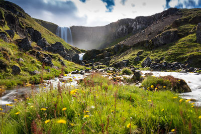 Scenic view of landscape against sky