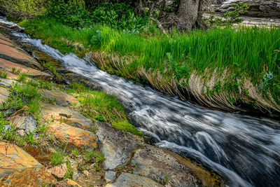 Stream flowing through rocks in forest