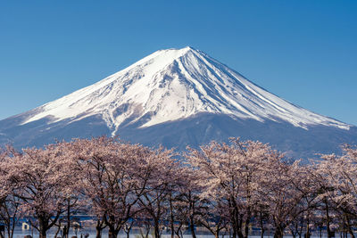 Scenic view of snowcapped mountains against clear blue sky