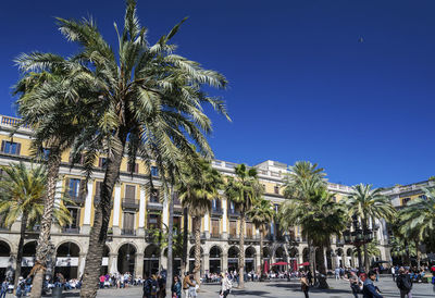 People by palm trees in city against clear sky
