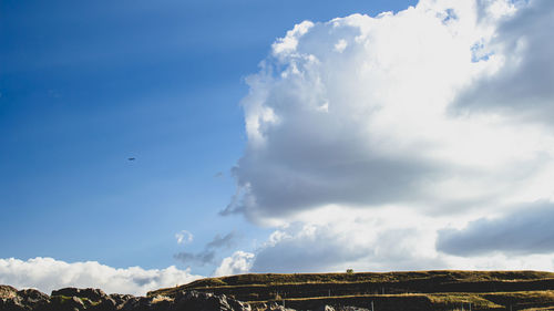 Low angle view of birds flying against blue sky