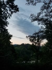 Low angle view of silhouette trees in forest against sky