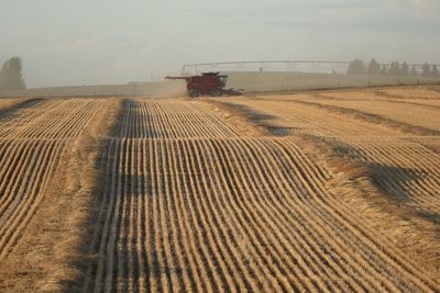 Tire tracks on agricultural field against sky