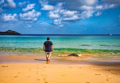 Rear view of man on beach against sky