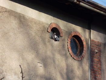 High angle view of shadow on wall