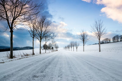 Snow covered road amidst bare trees against sky