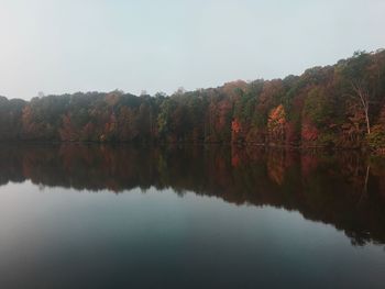 Scenic view of lake in forest against clear sky