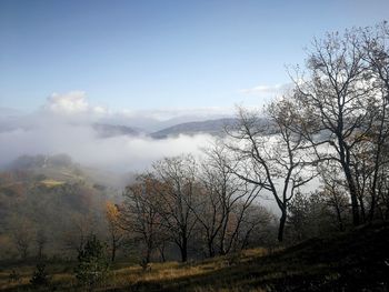Scenic view of landscape against sky during foggy weather