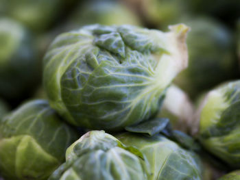 Close-up of brussels sprouts at market