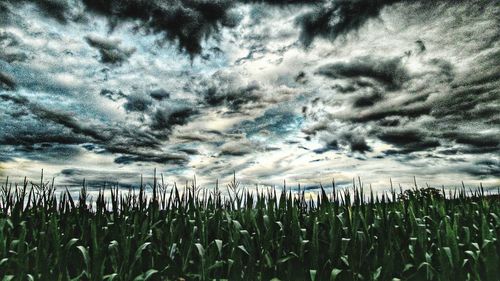 Scenic view of field against cloudy sky