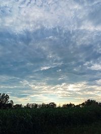 Scenic view of field against sky during sunset