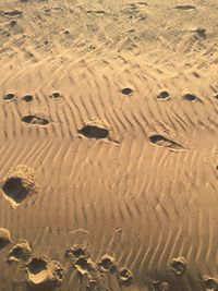 High angle view of footprints on sand at beach