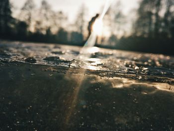 Close-up of wet spider web against sky