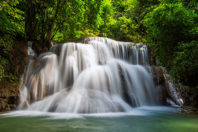 Scenic view of waterfall in forest