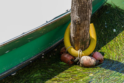 Cropped image of person holding grass in field