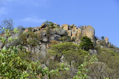 Plants on rock formation against sky