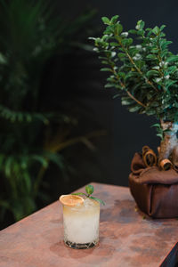 Potted plant on table