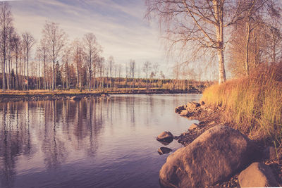 Reflection of bare trees in calm lake