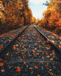 Autumn leaves on railroad track