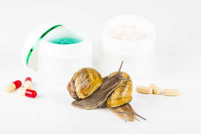 High angle view of breakfast on table against white background