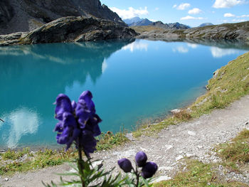 Scenic view of lake and rocks against sky