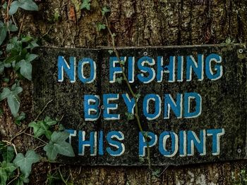 Information sign on tree trunk