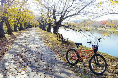 Bicycle parked by tree against sky during autumn