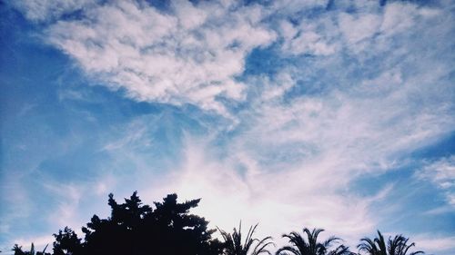 Low angle view of silhouette trees against blue sky