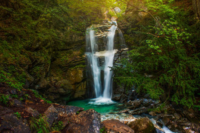 Scenic view of waterfall in forest