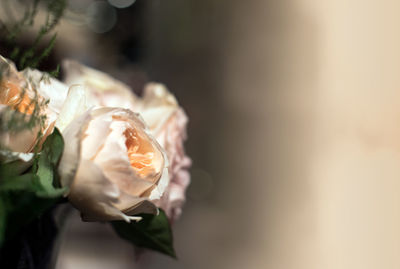 Close-up of rose bouquet