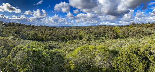 Panoramic view of landscape against sky