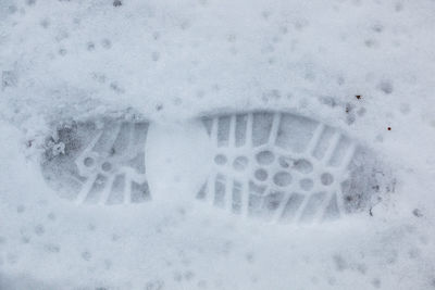 Close-up of snow covered field