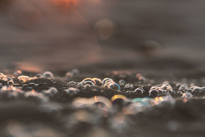 Close-up of bubbles over sea water