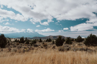 Scenic view of landscape against sky