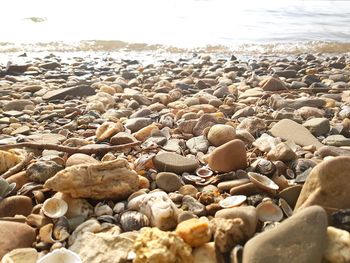 Surface level of pebble beach