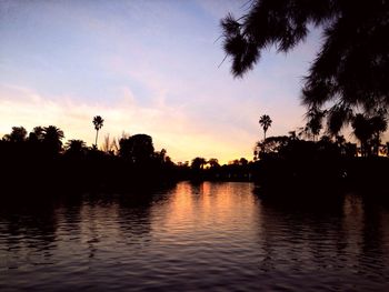 Silhouette of trees at sunset