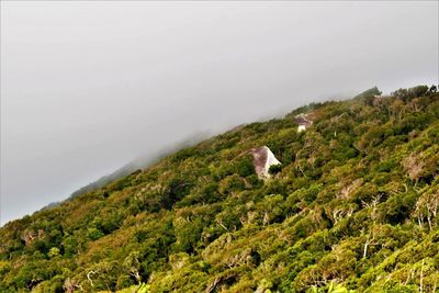 High angle view of bird on mountain by sea against sky