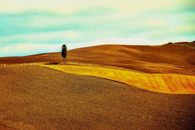 Rear view of man walking on sand at desert against sky