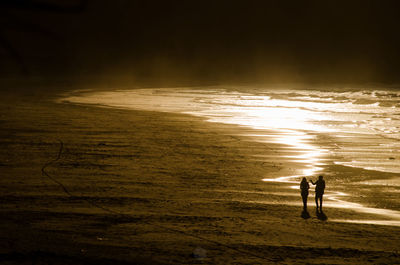 Rear view of silhouette people standing on beach at sunset