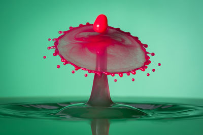 Close-up of water drops on red flower