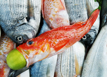 Close-up of fish for sale at market