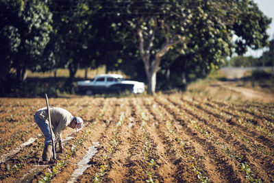 Side view of farmer working on field in farm