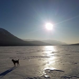 Scenic view of silhouette mountain against clear sky during sunset