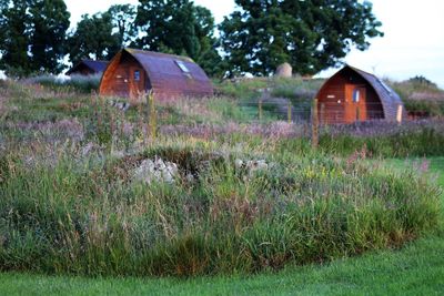 House on grassy field