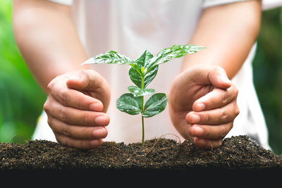 Cropped image of man hand protecting sapling growing on field