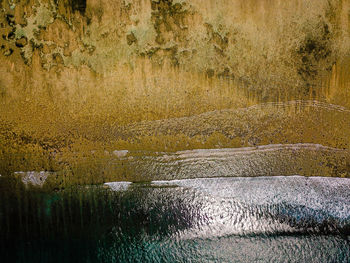 Scenic view of lake in forest