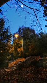 Street amidst trees against sky during autumn