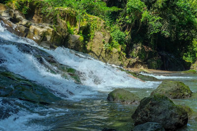 Scenic view of waterfall in forest