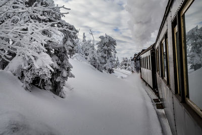 Scenic view of snow covered trees against sky